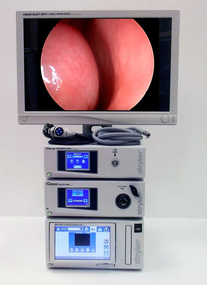 endoscopic brow lift