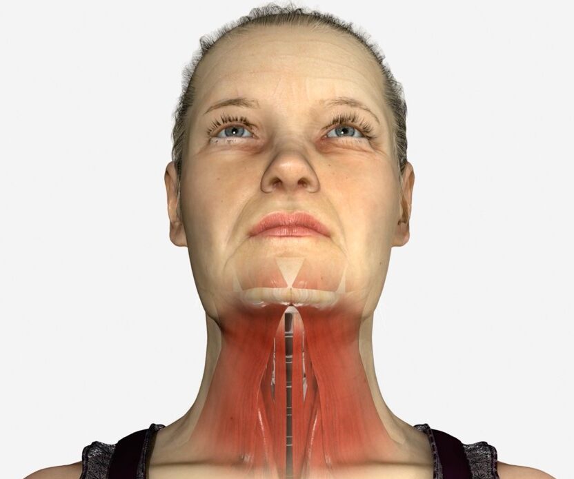 Woman's neck (schem muscul on neck)