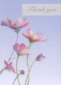 Patient Testimonials: Thank You | patient 34