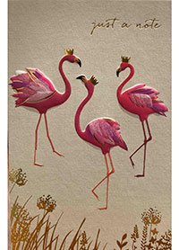 Patient Testimonials