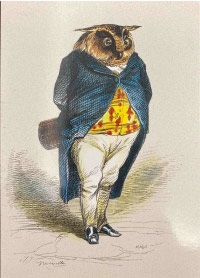 Patient Testimonials