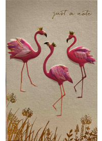 Patient Testimonials